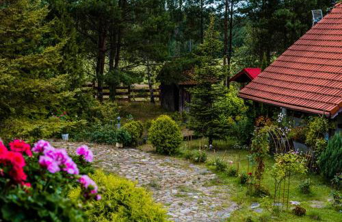 Leśna Zagroda - Foto 35