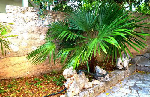 Apartments Sunset Jadranovo - Photo 50