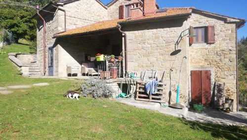 Casa Martino - Foto 2, Garden