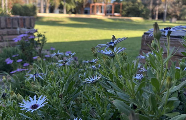 Parador 15 - Foto 23