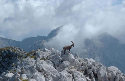 Casa Vacanza CADORNA RESIDENCE - Foto 21