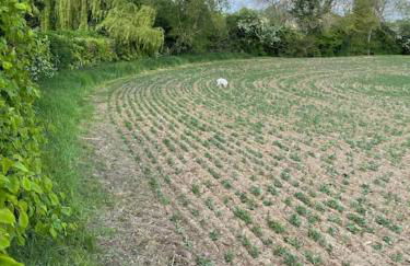 Totally Private, idyllic House with hot tub in an acre of private gardens - Foto 5