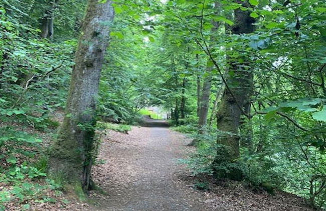 Blairgowrie Luxury 3 Bed Lodge With Hot Tub - Foto 31