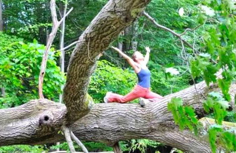 Peaceful Getaway above a Beautiful Yoga Studio near Devil's Den Nature Preserve, Connecticut - Foto 28
