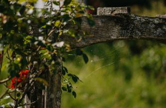 Haus Bergfrieden - Foto 62