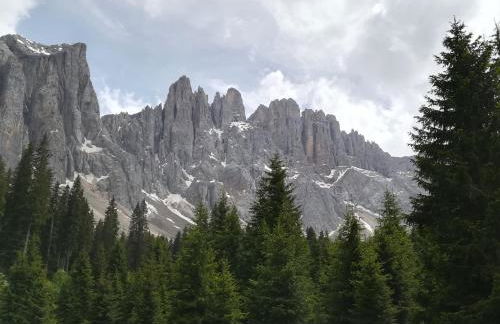 Residence Grand Hotel Carezza - Foto 63