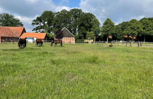 Landhaus am Esch - Foto 21