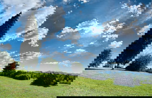 Tenuta Agricola Fraschiera - Foto 49