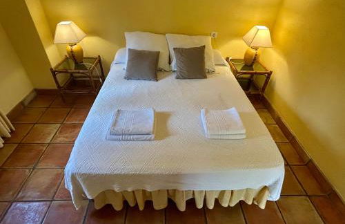 La Washingtonia - Foto 20