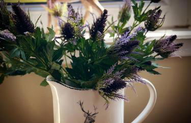 Knockenhooley Cottage - Foto 27