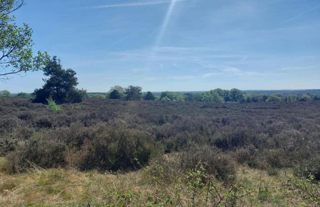 Holiday Home in Haarle Near Sallandse Heuvelrug - Foto 17