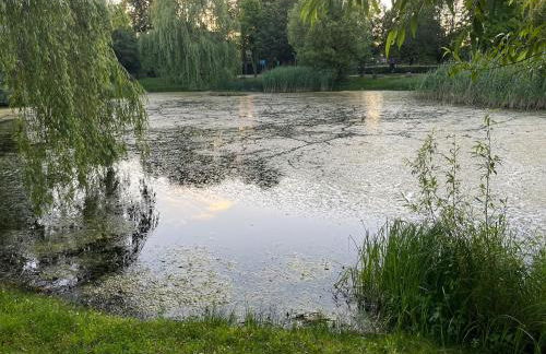 Pfarrhaus Tollensesee - Foto 24