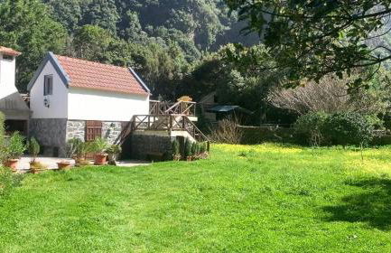 Mountain View Cottage - Foto 35