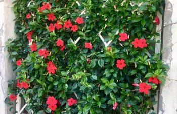 Agriturismo TERRANERA - Foto 44