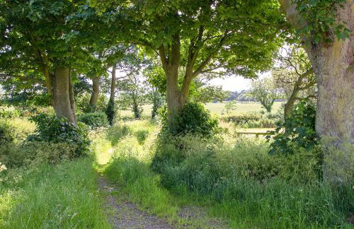 The Barn-Ixk - Foto 18