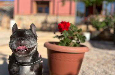 Villa Tranquila Lagunas de Ruidera - Foto 26