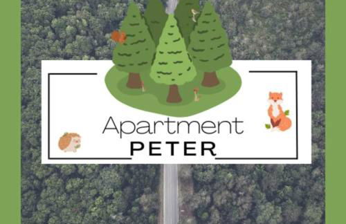 Apartment Peter - Familienurlaub mit Indoorpool - Foto 42