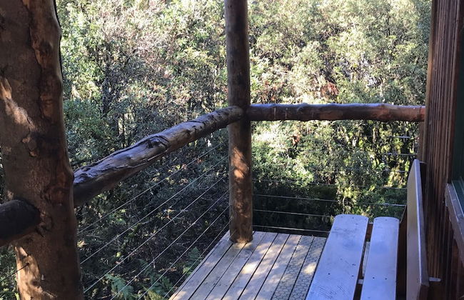 Cradle Highlander - Foto 64