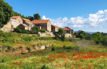 Hvar Stone Villa with pool - Foto 62