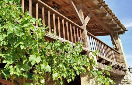 Mas Sabaters - L'Era de Sabaters - Foto 27