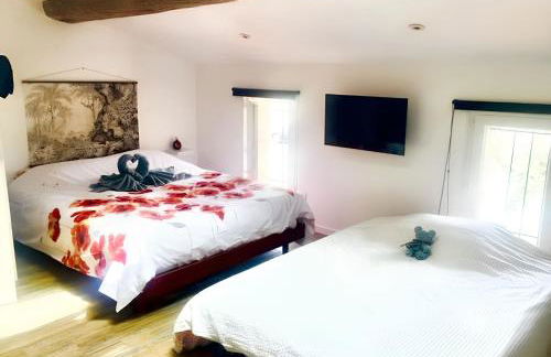 Studio charmant à Saint-Jory, 25 m² avec piscine partagée - Photo 9