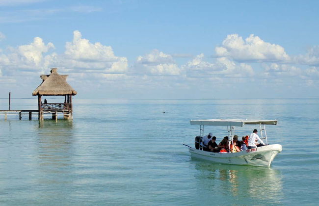 Avistamiento de delfines en Isla Aguada - Foto 2