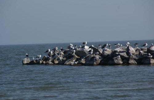 Ferienhaus "Strandgut" - Foto 45