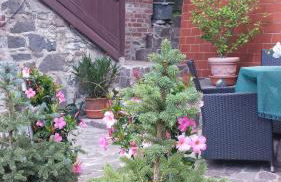 Ferienwohnungen Treseburg "Zur Bodehexe" - Foto 24