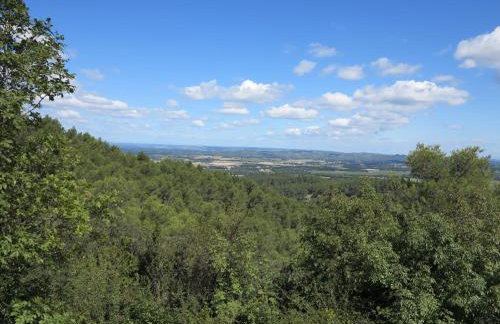 Cabane de la leque - Foto 19