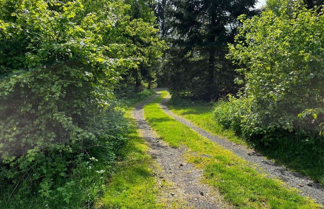 Inviting Apartment in Schotten - Foto 16