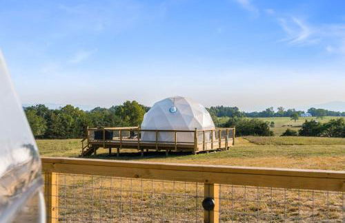 Faraway Geodome with Views - Photo 19
