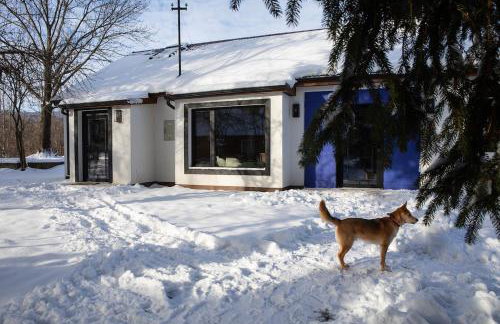 Folga w Foluszu - Foto 11