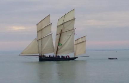 Le clos de la cote d'Emeraude - Foto 54