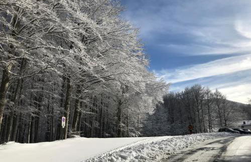 Villa Podere Del Grasso - Foto 36