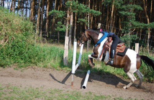 Ferienhaus Zum Pferdestall - Photo 32