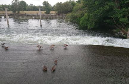 Charming 17th Century 2-bed Cottage in Medmenham - Foto 57