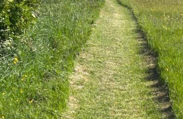 quiet secluded loft in County Durham - Photo 3