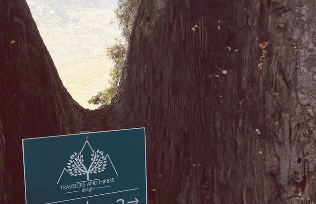 Travellers And Hikers Delight 2, Next To Sougia - Foto 57