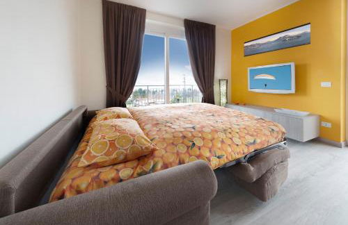 Agrifoglio - Foto 38