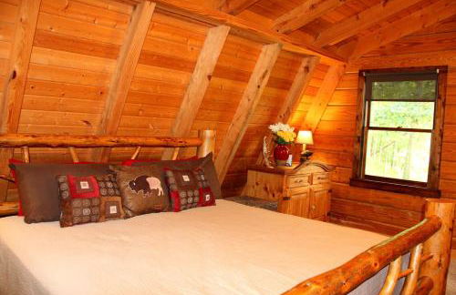 Rustic-Modern Log Cabin Getaway: Family-Friendly, Quiet Ranch, Wildlife at Your Door in Clyde, North Carolina - Foto 17