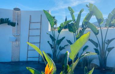 Casa Avellana - Photo 11