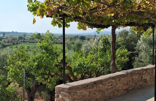 Theoni's Home - Foto 8