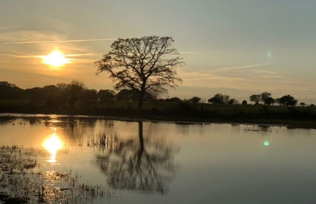 "Margareta" - 250m to the fjord - Foto 9