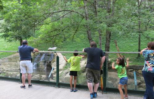 Can Batlló, entorno acojedor y romántico - Foto 27
