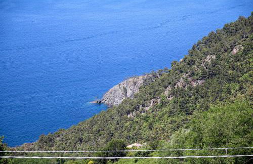 La notte sull'isola - Montaretto - tra il cielo e il mare - Foto 8