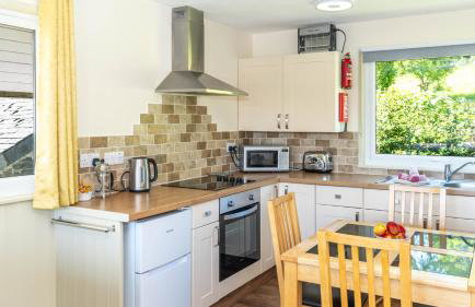 Ta Mill Cottages & Lodges - Meadowview Chalet 1 - Foto 14