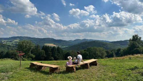 Ferienhaus am Vogelsang - Foto 5