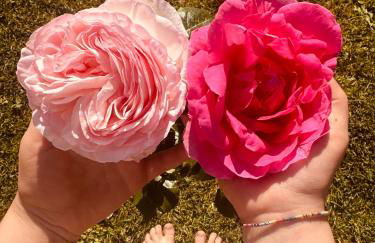 Villa Residence Franziskus - Foto 80