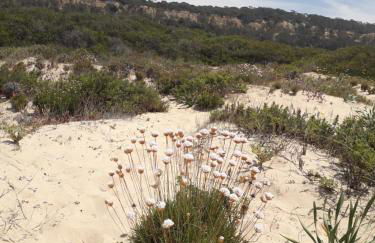 Caparica for Rent - Foto 29