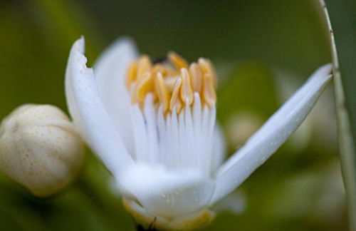 Punta Del Corno Agriturismo - Foto 36